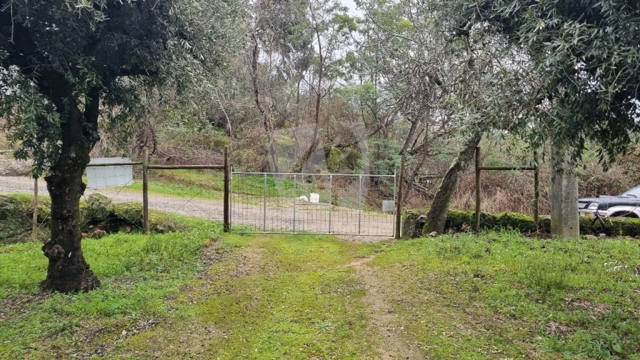 Terreno Agricola ou Rústico para Venda em Póvoa de Atalaia e Atalaia do Campo Foto 2