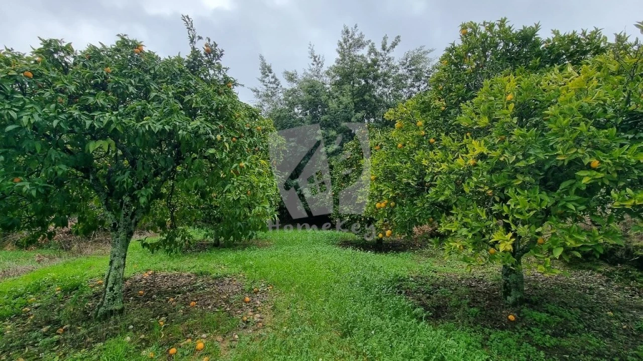 Terreno Agricola ou Rústico para Venda em Póvoa de Atalaia e Atalaia do Campo Foto 16