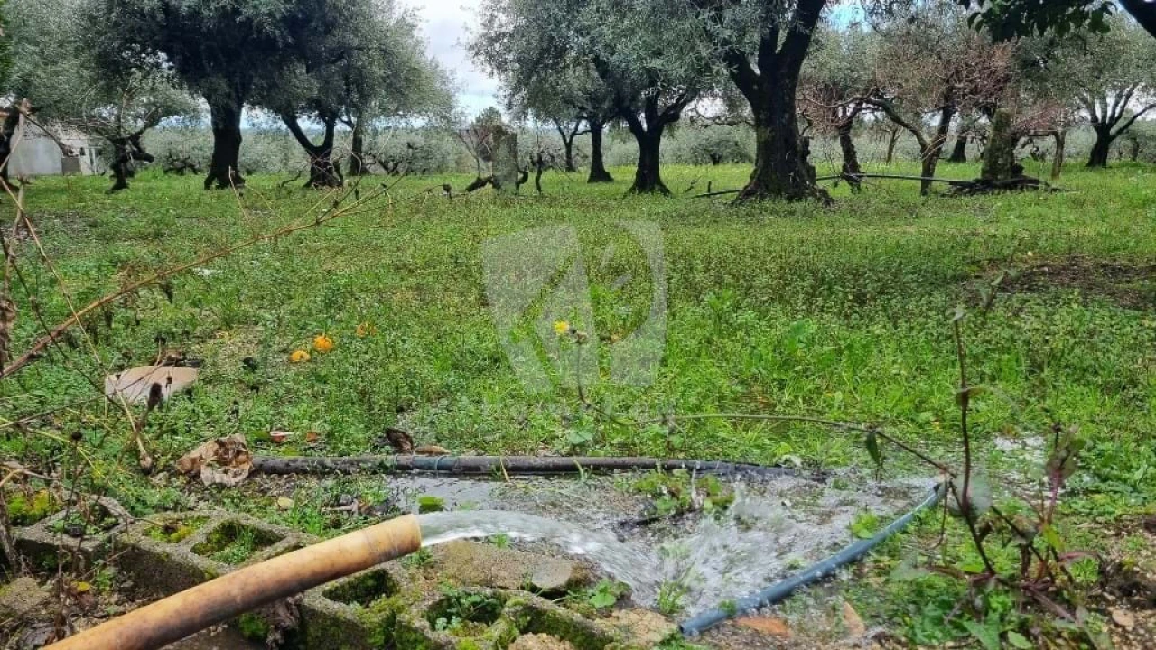 Terreno Agricola ou Rústico para Venda em Póvoa de Atalaia e Atalaia do Campo Foto 27