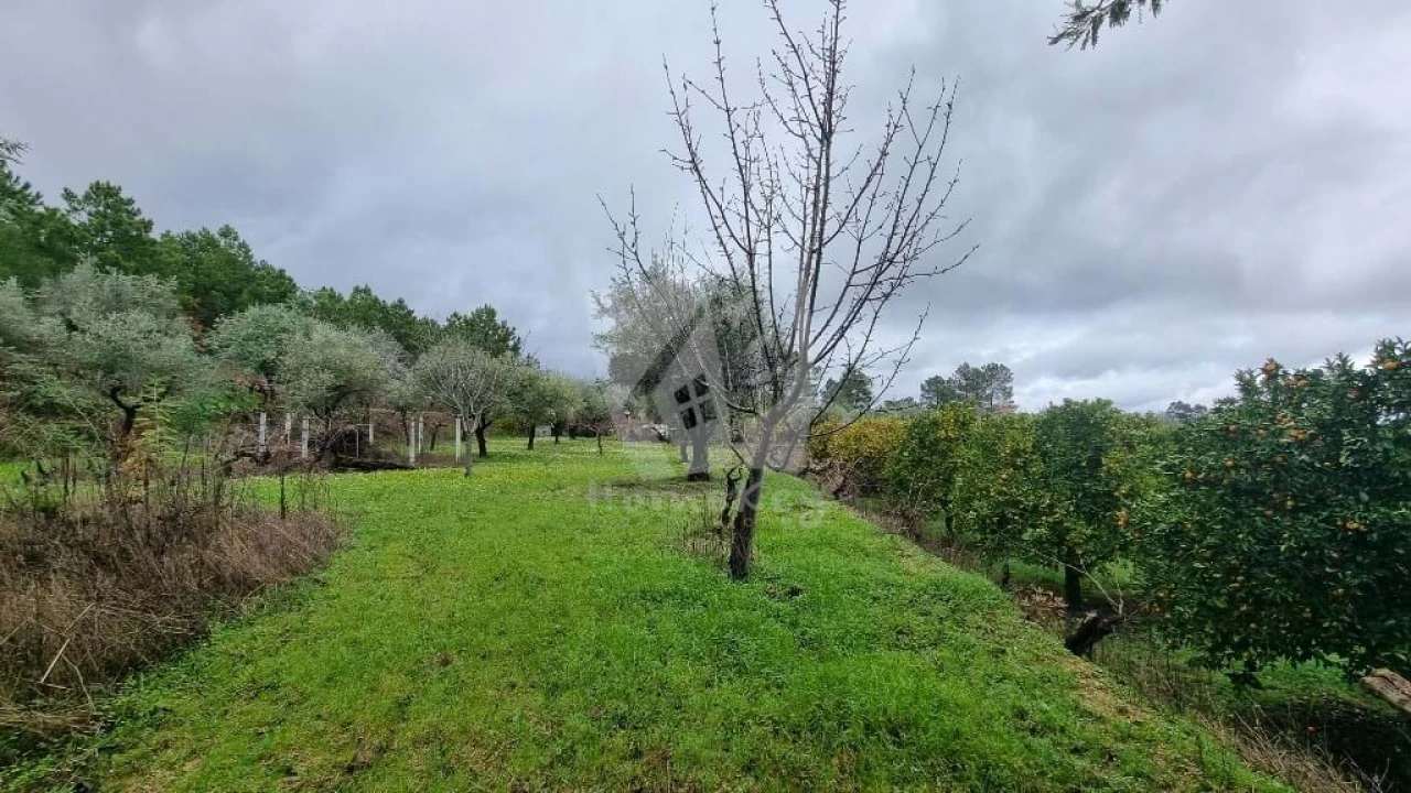Terreno Agricola ou Rústico para Venda em Póvoa de Atalaia e Atalaia do Campo Foto 10