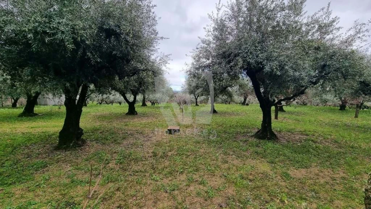 Terreno Agricola ou Rústico para Venda em Póvoa de Atalaia e Atalaia do Campo Foto 26