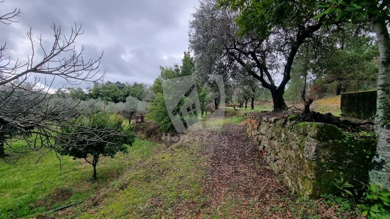 Terreno Agricola ou Rústico para Venda em Póvoa de Atalaia e Atalaia do Campo Foto 7