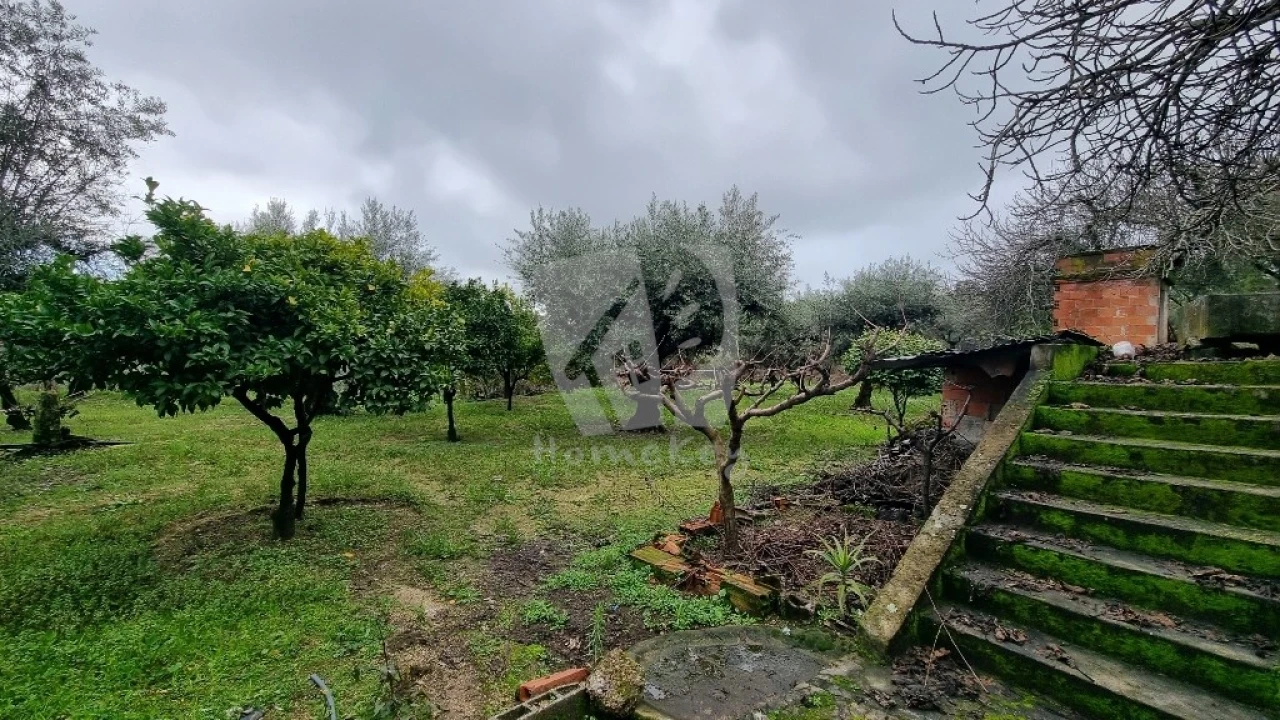 Terreno Agricola ou Rústico para Venda em Póvoa de Atalaia e Atalaia do Campo Foto 25