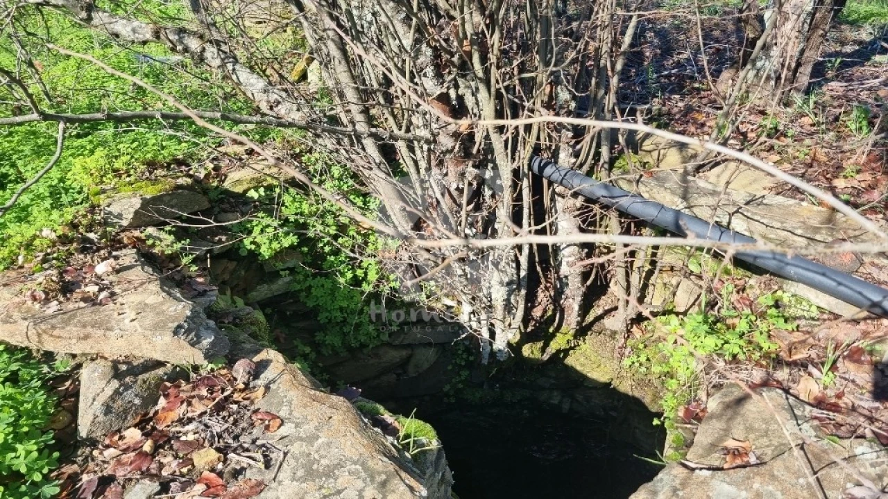Terreno Agricola ou Rústico para Venda em Santo Andre das Tojeiras Foto 18