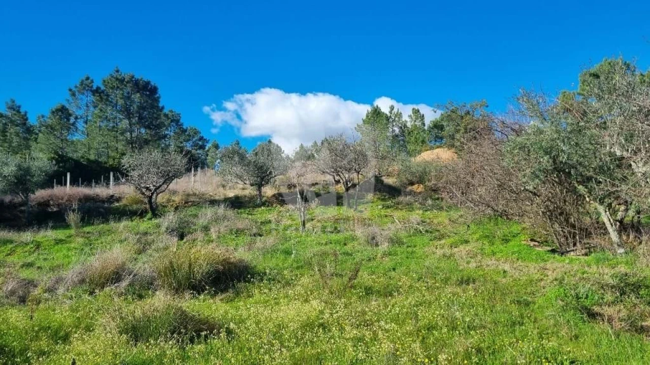 Terreno Agricola ou Rústico para Venda em Santo Andre das Tojeiras Foto 11
