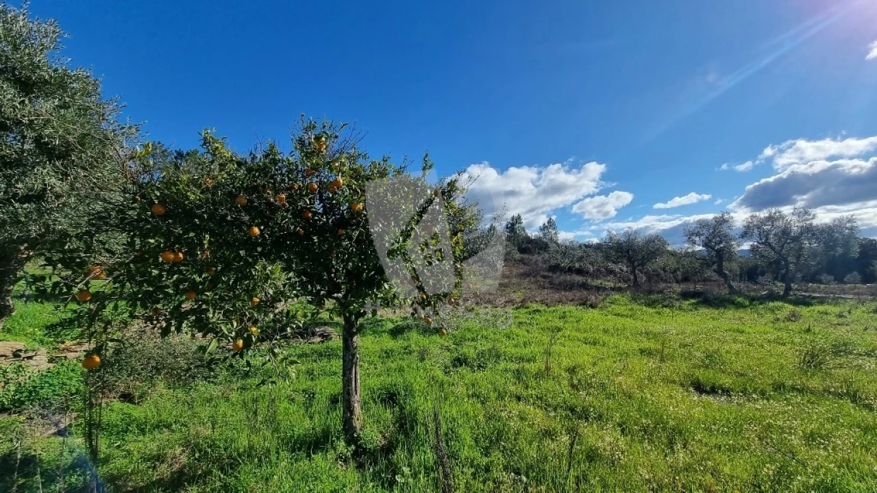Terreno Agricola ou Rústico para Venda em Santo Andre das Tojeiras Foto 9