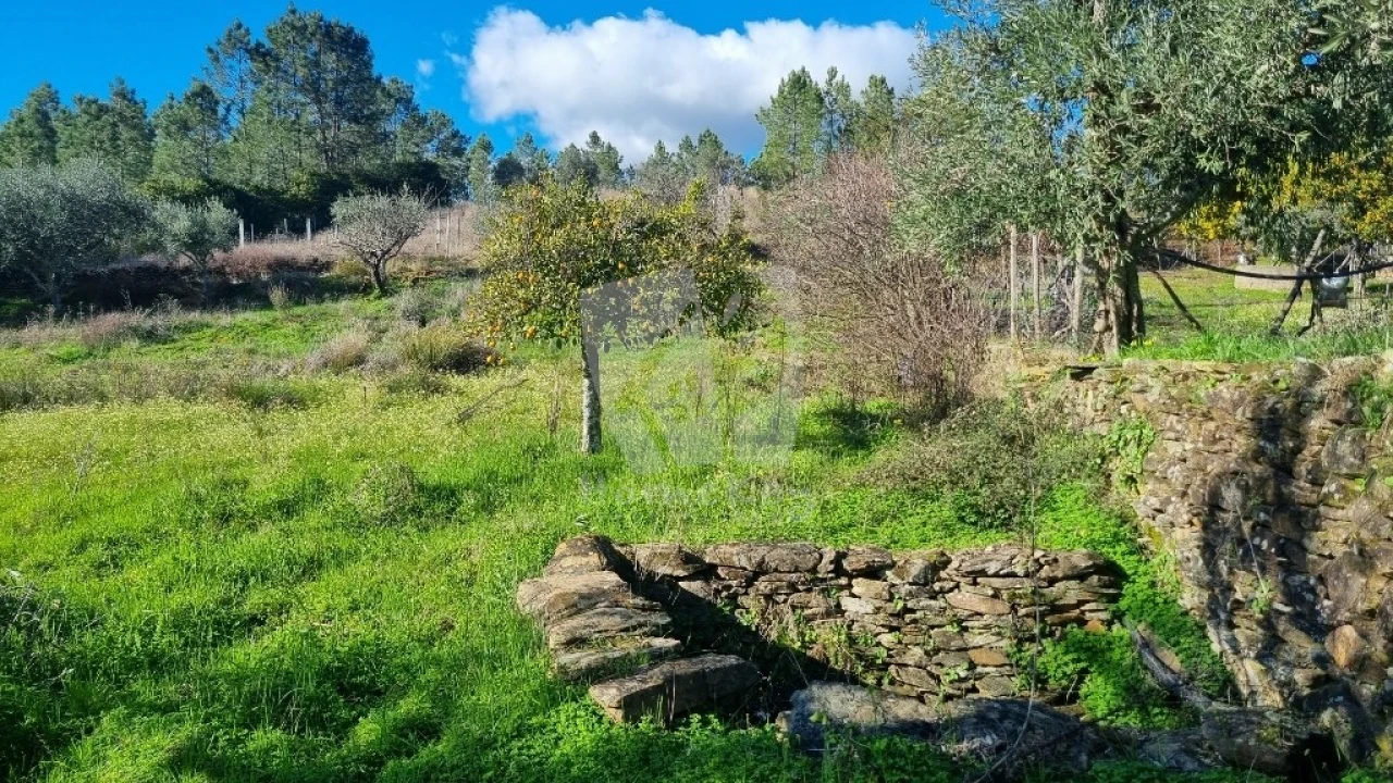 Terreno Agricola ou Rústico para Venda em Santo Andre das Tojeiras Foto 16