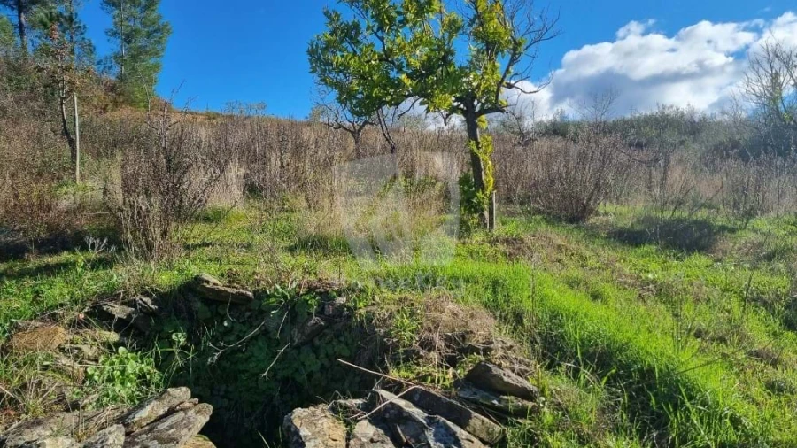 Terreno Agricola ou Rústico para Venda em Santo Andre das Tojeiras Foto 13