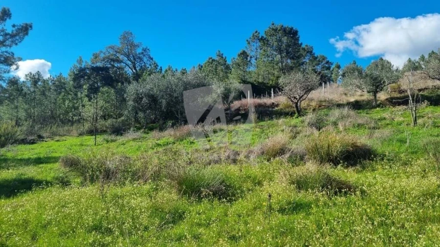 Terreno Agricola ou Rústico para Venda em Santo Andre das Tojeiras Foto 10