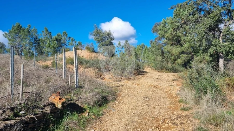 Terreno Agricola ou Rústico para Venda em Santo Andre das Tojeiras Foto 19