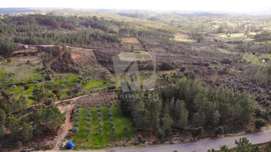 Terreno Agricola ou Rústico para Venda em Santo Andre das Tojeiras Foto 25