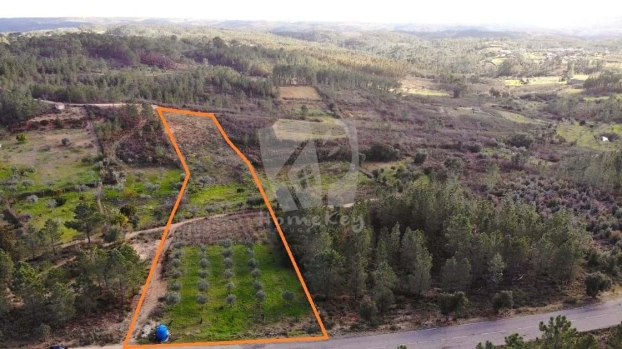 Terreno Agricola ou Rústico para Venda em Santo Andre das Tojeiras Foto 24