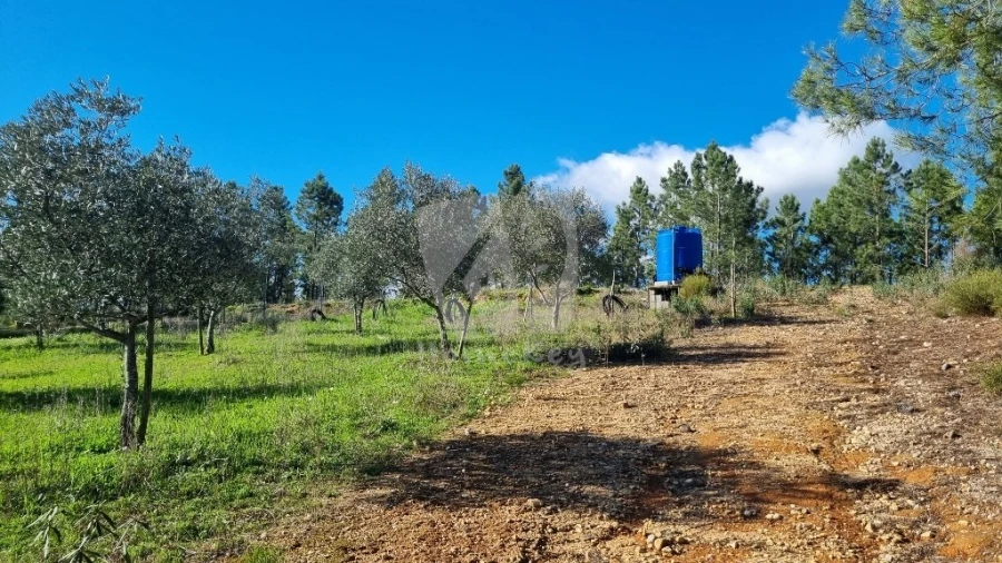Terreno Agricola ou Rústico para Venda em Santo Andre das Tojeiras Foto 20