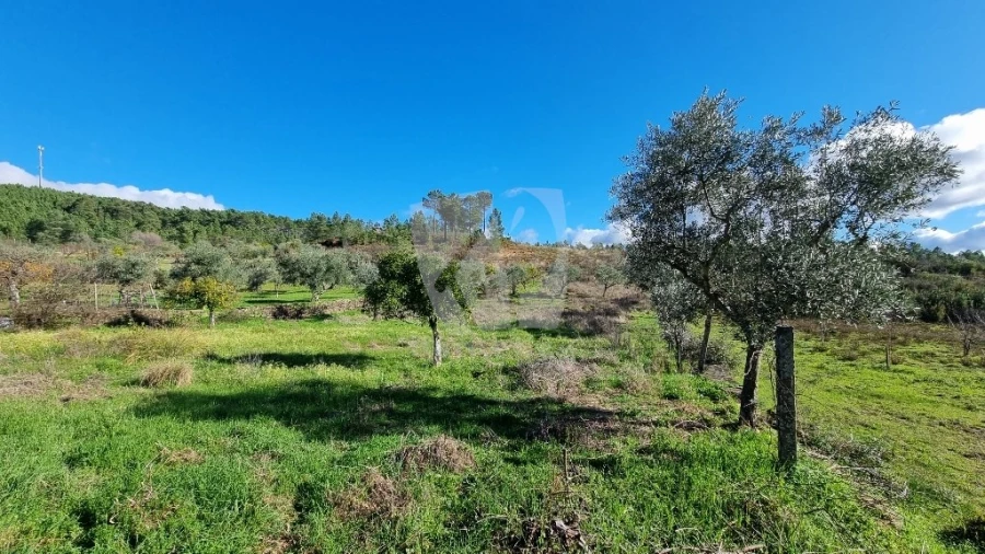 Terreno Agricola ou Rústico para Venda em Santo Andre das Tojeiras Foto 8