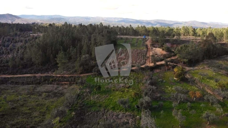 Terreno Agricola ou Rústico para Venda em Santo Andre das Tojeiras Foto 22