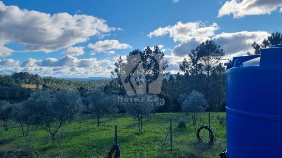 Terreno Agricola ou Rústico para Venda em Santo Andre das Tojeiras Foto 1