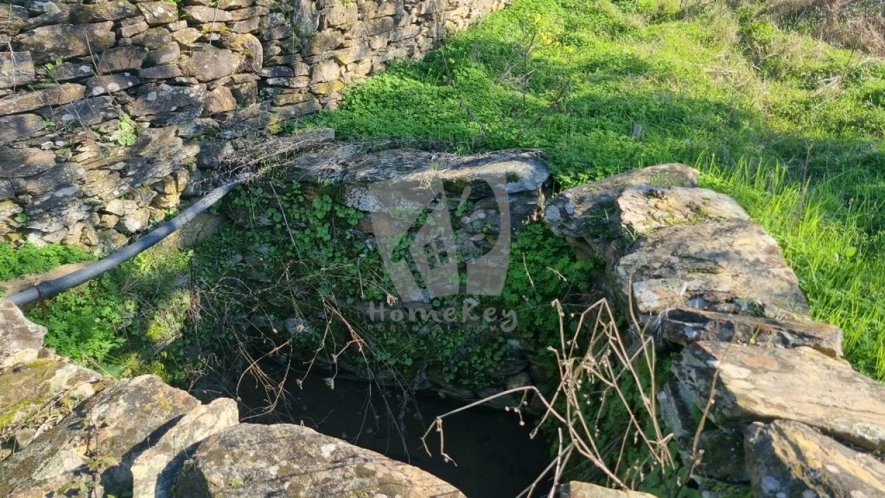 Terreno Agricola ou Rústico para Venda em Santo Andre das Tojeiras Foto 12