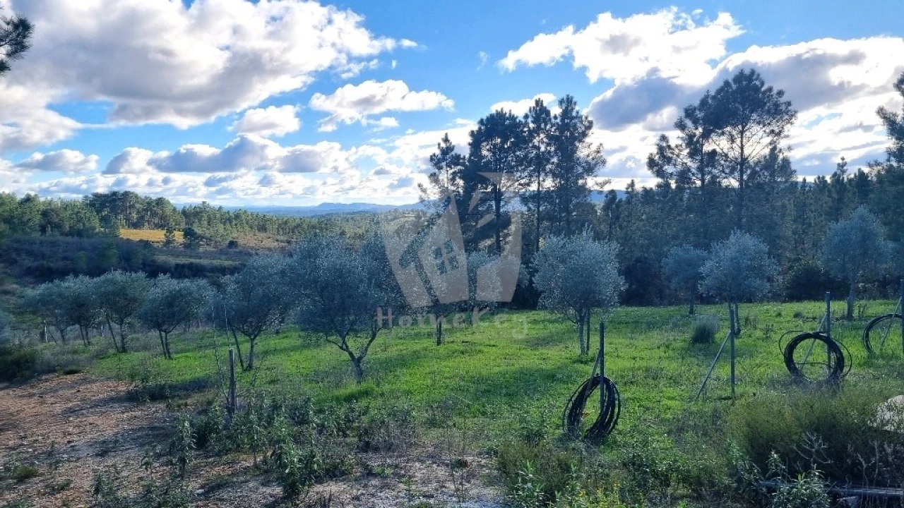 Terreno Agricola ou Rústico para Venda em Santo Andre das Tojeiras Foto 2