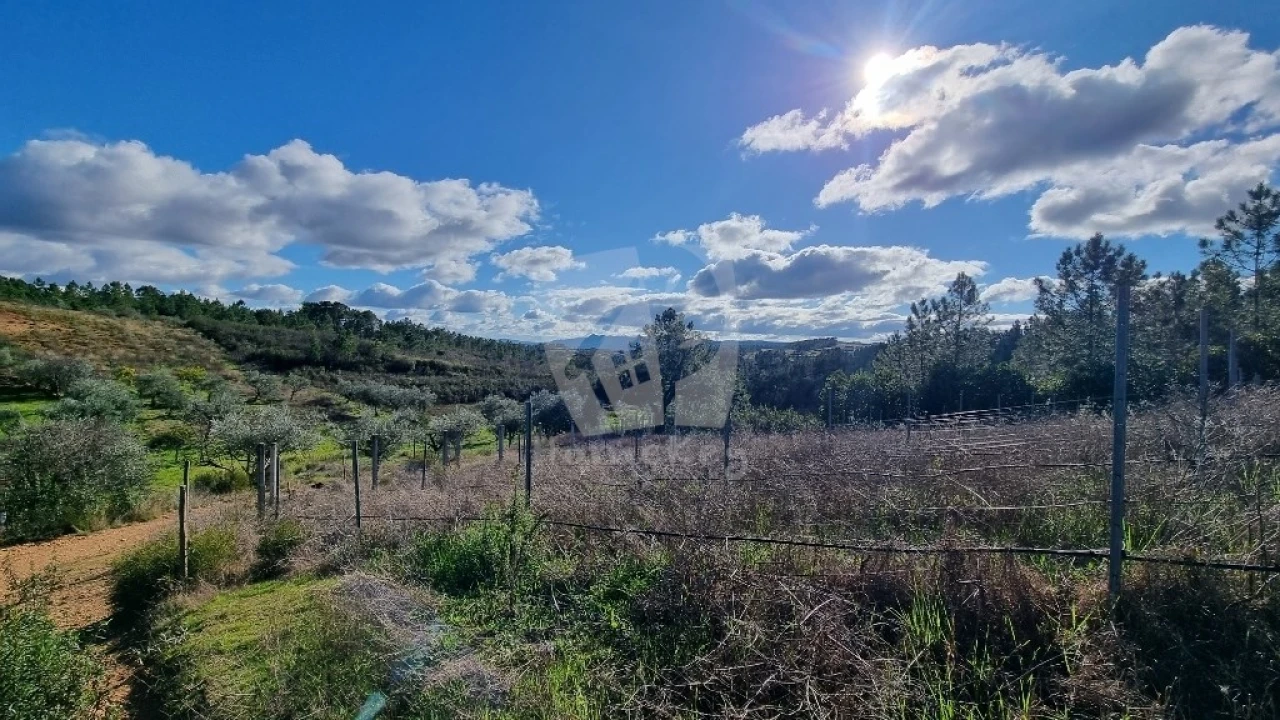 Terreno Agricola ou Rústico para Venda em Santo Andre das Tojeiras Foto 4
