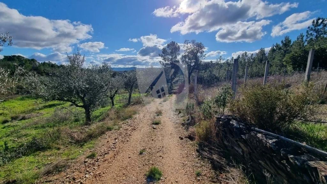 Terreno Agricola ou Rústico para Venda em Santo Andre das Tojeiras Foto 5