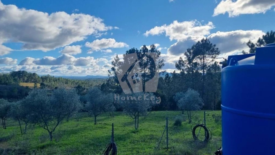 Terreno Agricola ou Rústico para Venda em Santo Andre das Tojeiras