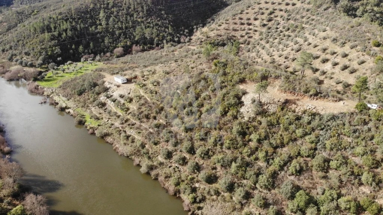 Terreno Agricola ou Rústico para Venda em Sarzedas Foto 13