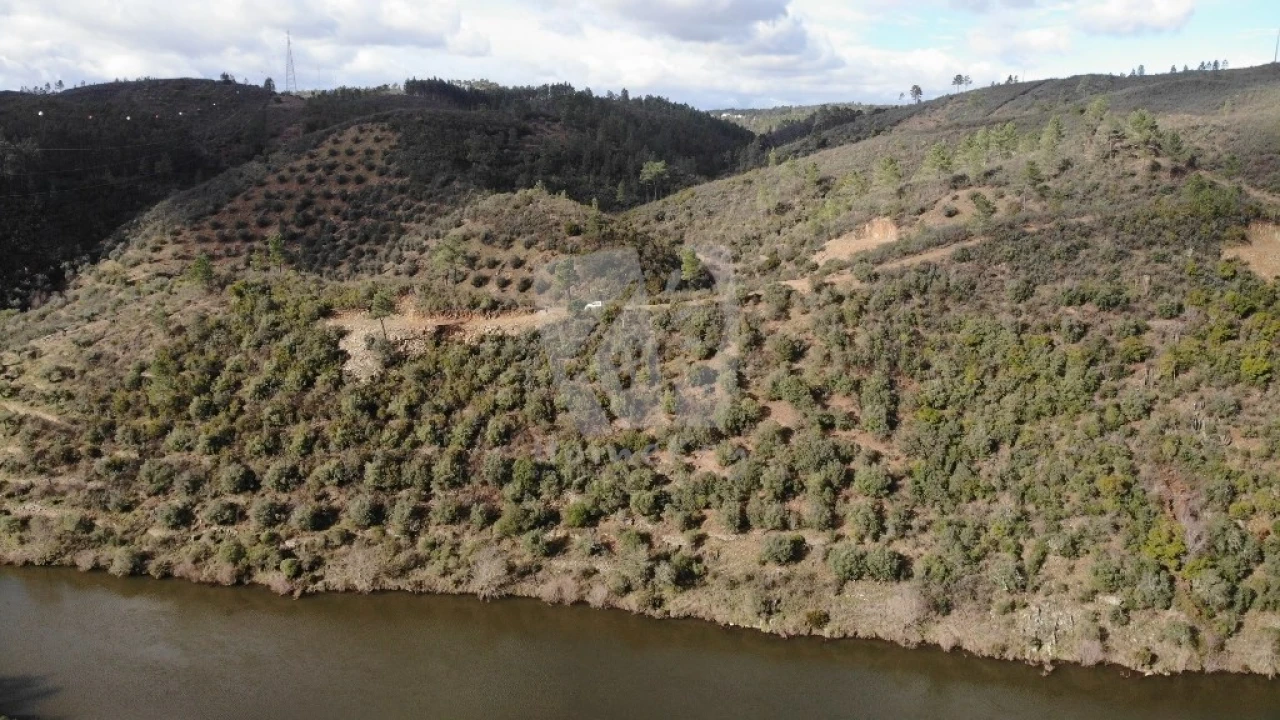 Terreno Agricola ou Rústico para Venda em Sarzedas Foto 6