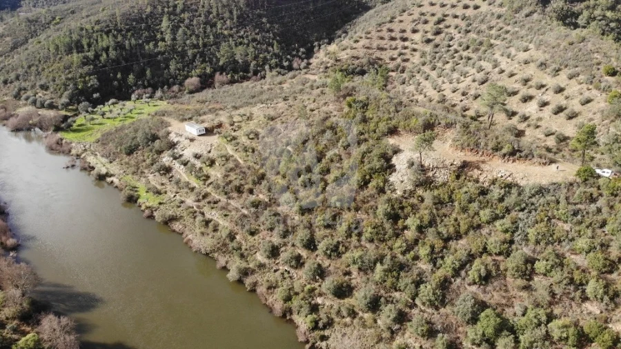 Terreno Agricola ou Rústico para Venda em Sarzedas Foto 13