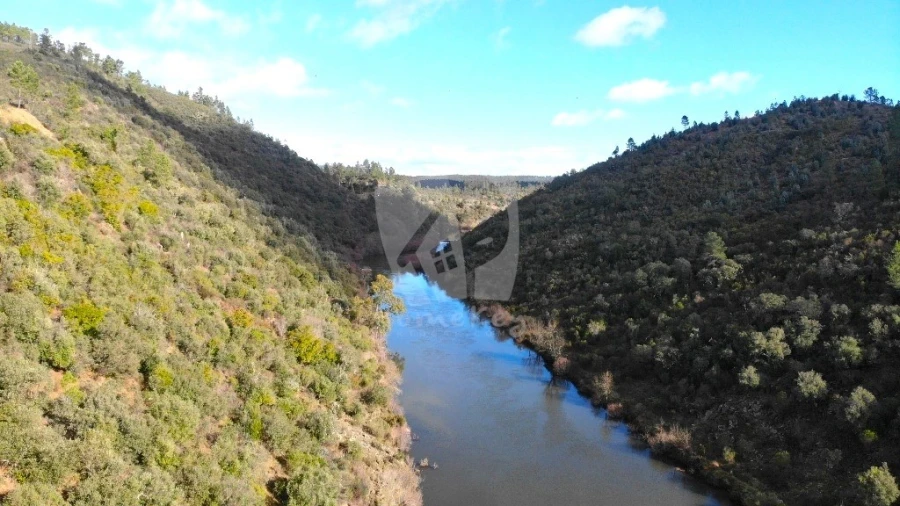 Terreno Agricola ou Rústico para Venda em Sarzedas Foto 9