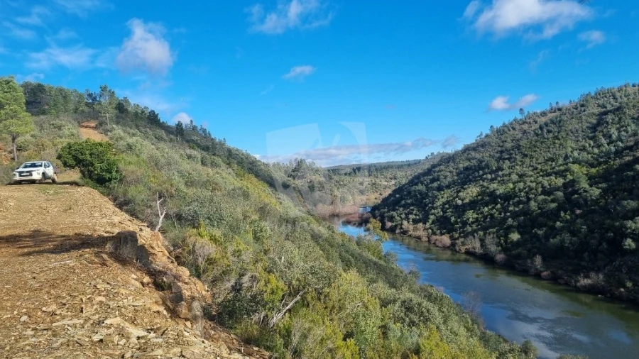 Terreno Agricola ou Rústico para Venda em Sarzedas Foto 2