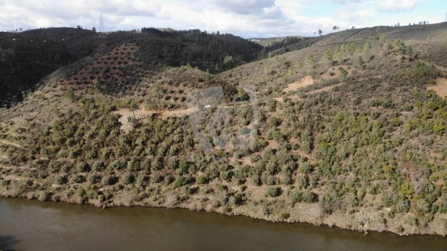 Terreno Agricola ou Rústico para Venda em Sarzedas Foto 6