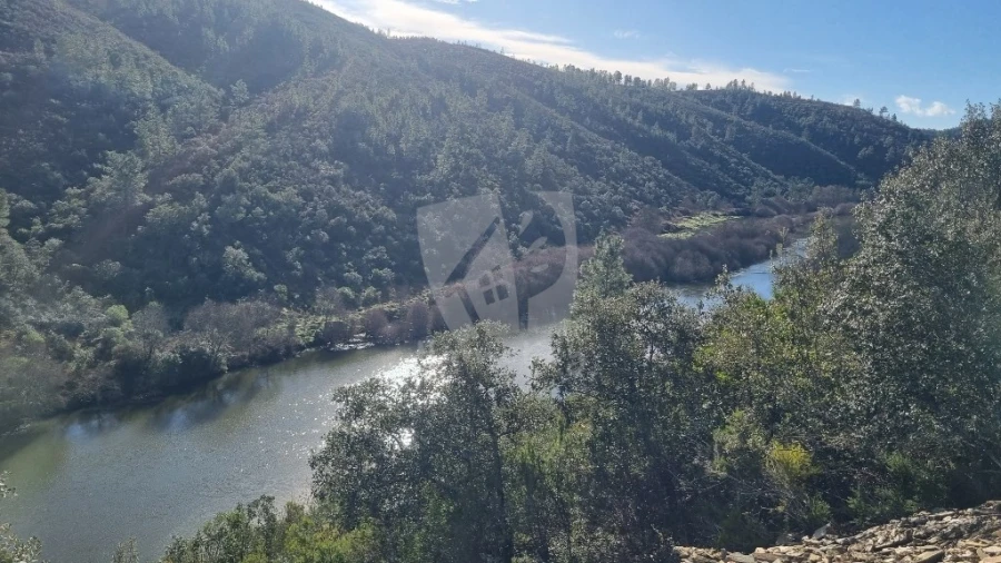 Terreno Agricola ou Rústico para Venda em Sarzedas Foto 7