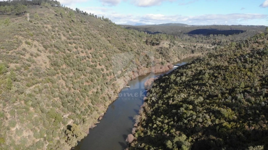 Terreno Agricola ou Rústico para Venda em Sarzedas Foto 12