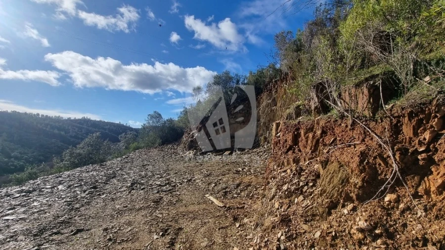 Terreno Agricola ou Rústico para Venda em Sarzedas Foto 8