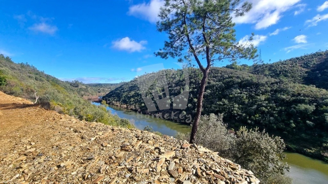 Terreno Agricola ou Rústico para Venda em Sarzedas Foto 1