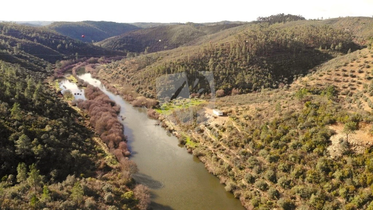 Terreno Agricola ou Rústico para Venda em Sarzedas Foto 11