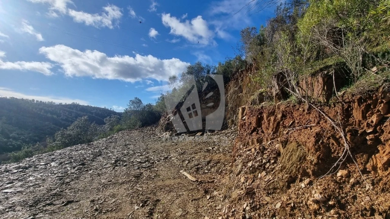 Terreno Agricola ou Rústico para Venda em Sarzedas Foto 8