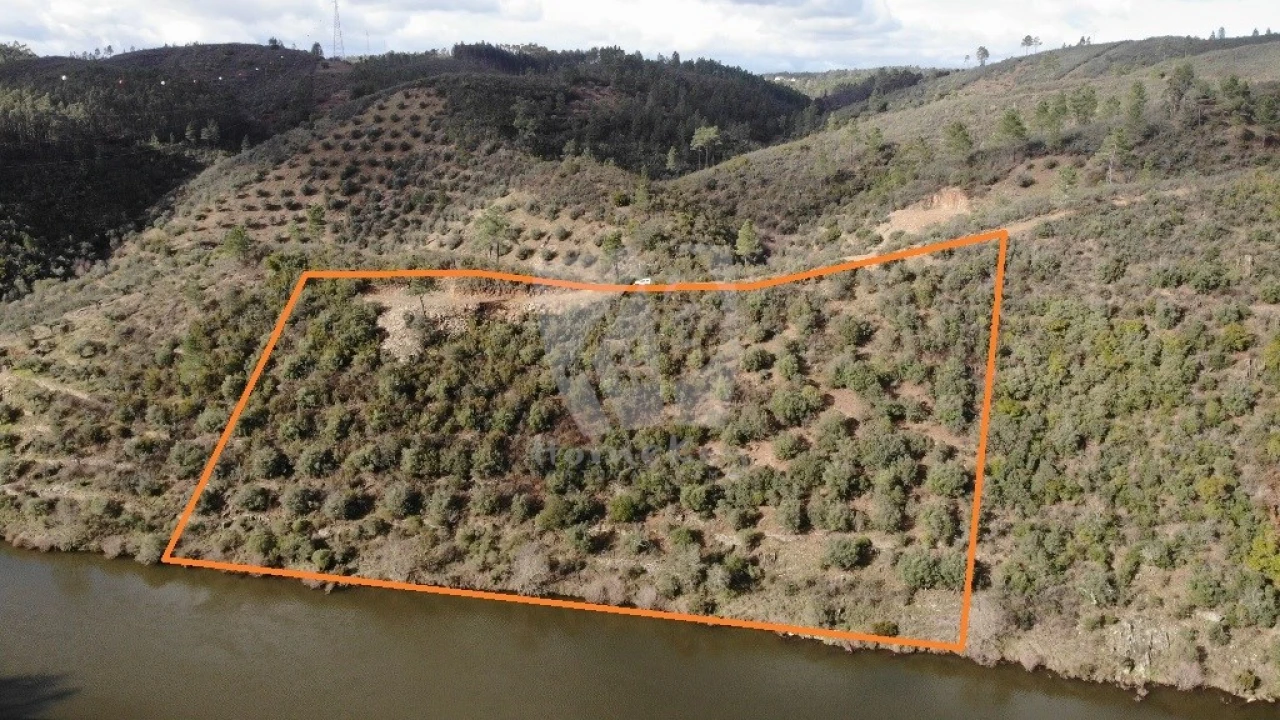Terreno Agricola ou Rústico para Venda em Sarzedas Foto 14