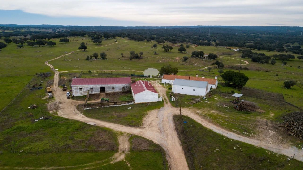 Quinta T2 para Venda em Aguiar Foto 2