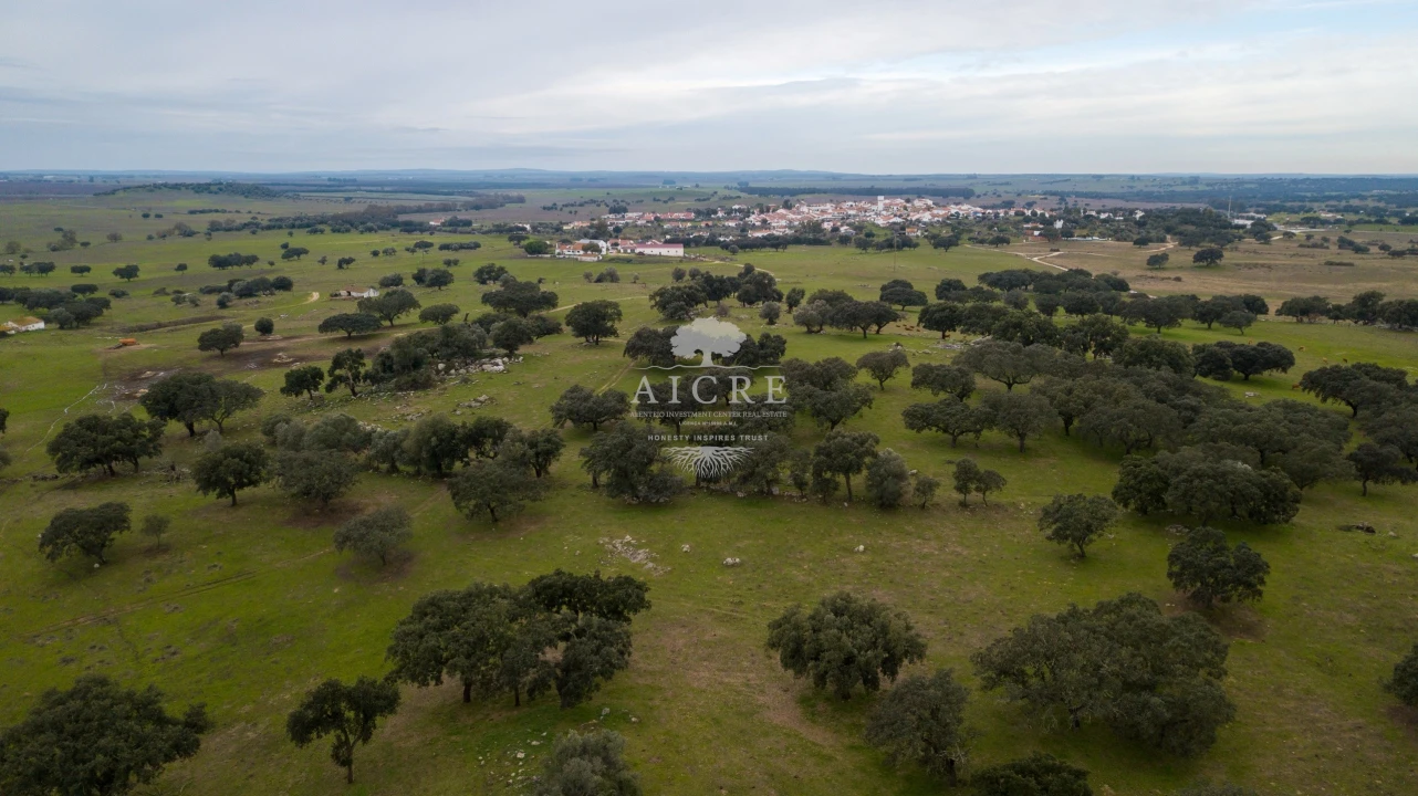 Quinta T2 para Venda em Aguiar Foto 7