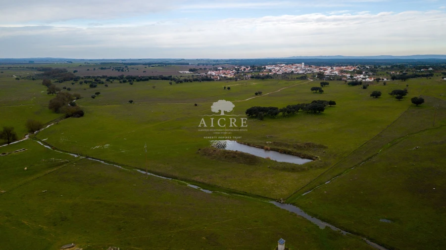 Quinta T2 para Venda em Aguiar Foto 4