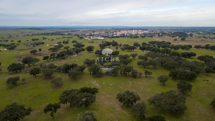 Quinta T2 para Venda em Aguiar Foto 7