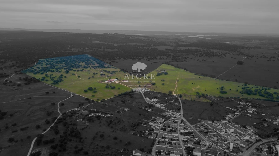 Quinta T2 para Venda em Aguiar Foto 8