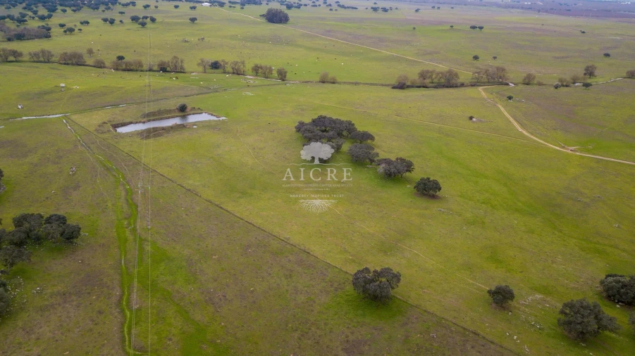 Quinta T2 para Venda em Aguiar Foto 5