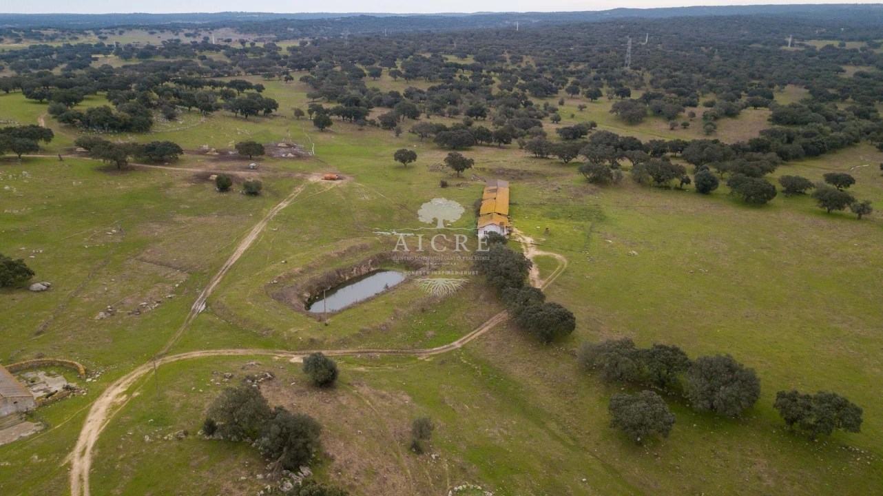 Quinta T2 para Venda em Aguiar Foto 3