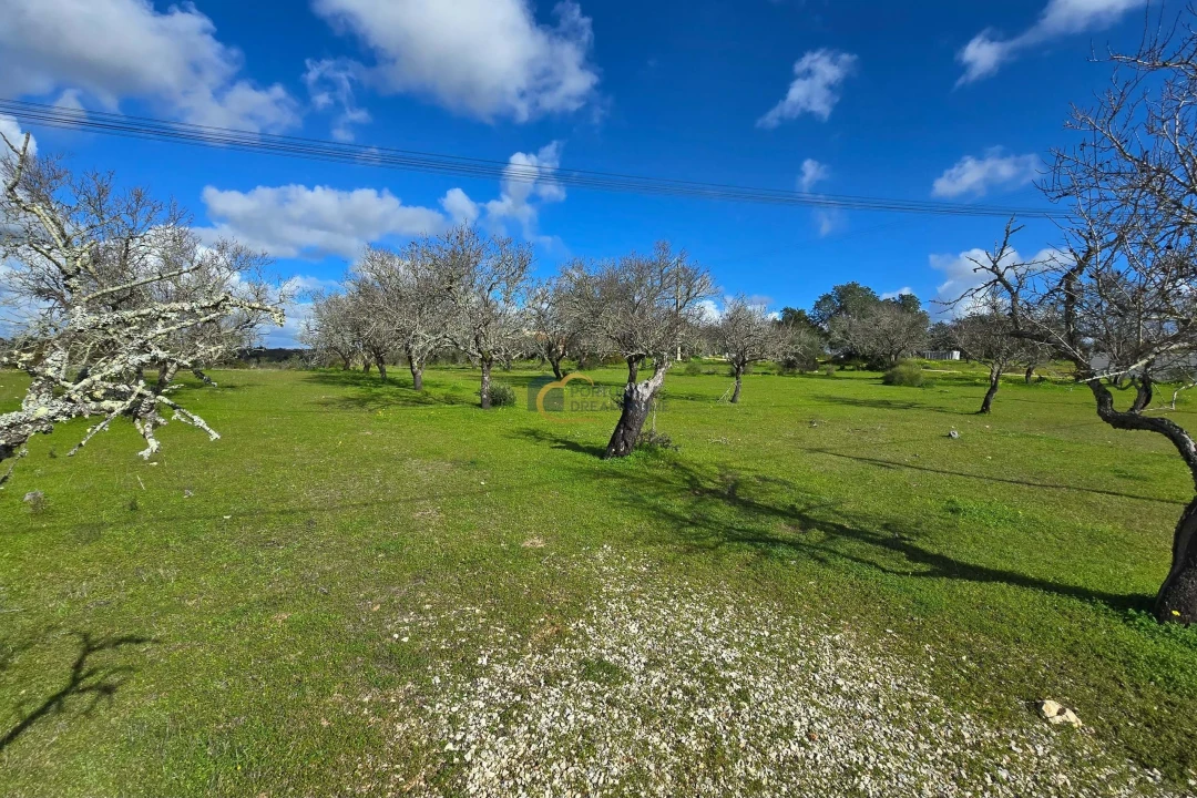 Terreno para Venda em Albufeira e Olhos de Água Foto 2