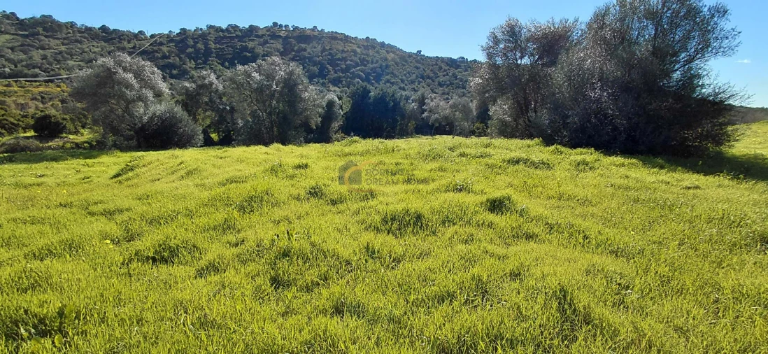 Moradia T3 para Venda em São Bartolomeu de Messines Foto 23