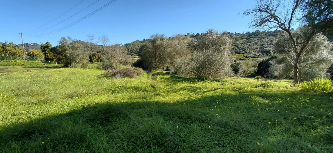 Moradia T3 para Venda em São Bartolomeu de Messines Foto 16