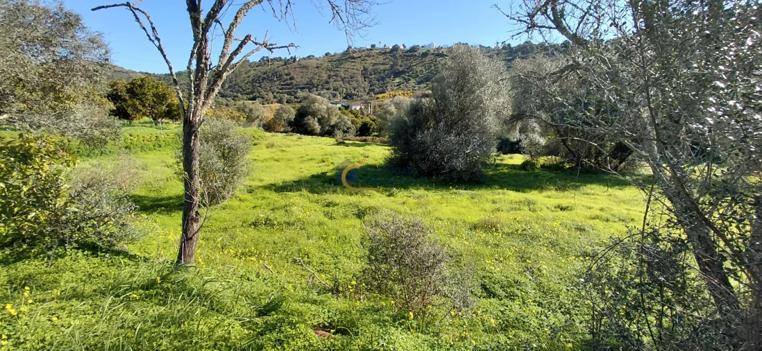 Moradia T3 para Venda em São Bartolomeu de Messines Foto 21