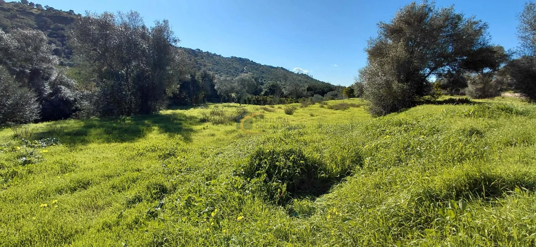 Moradia T3 para Venda em São Bartolomeu de Messines Foto 25